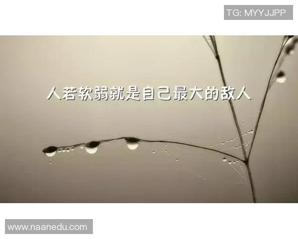 追逐梦想的脚步足球场上的励志名言激励你我前行