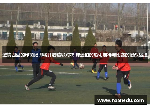 激情四溢的绿茵场即将开启精彩对决 球迷们的热切期待与比赛的激烈碰撞