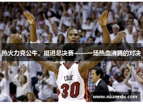 热火力克公牛，挺进总决赛——一场热血沸腾的对决