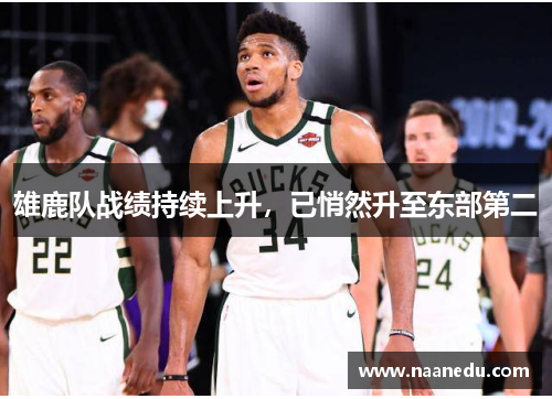 雄鹿队战绩持续上升，已悄然升至东部第二