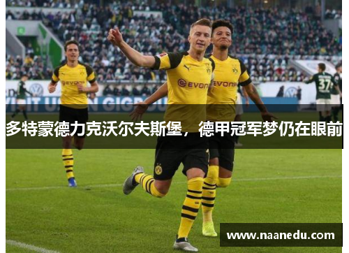 多特蒙德力克沃尔夫斯堡，德甲冠军梦仍在眼前