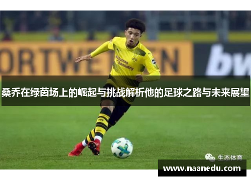 桑乔在绿茵场上的崛起与挑战解析他的足球之路与未来展望