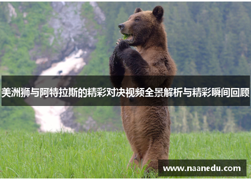美洲狮与阿特拉斯的精彩对决视频全景解析与精彩瞬间回顾